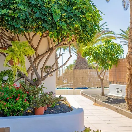 Appartement Isla De Lobos - Adults Only *